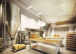 Ct Foodnex (D25), Factory #573563401